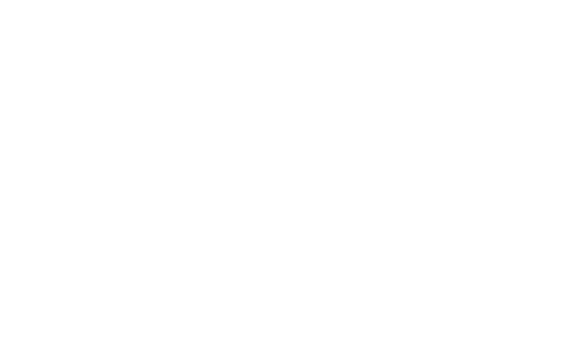 Ace Villas Koregaon Park NX Footer Shape Image